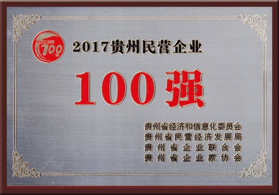 2017貴州民營企業100強